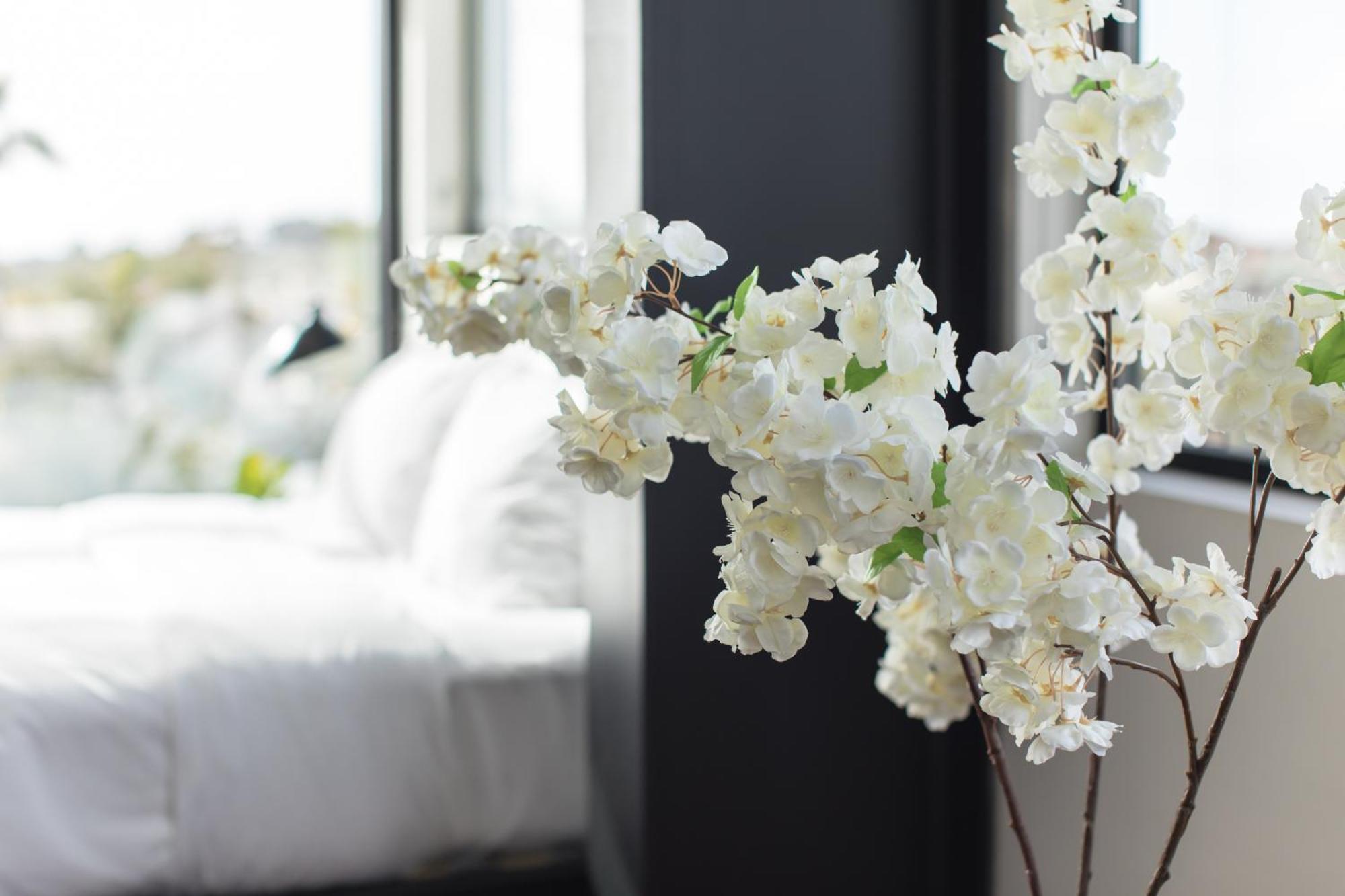 Abpopa Hillcrest Hotell San Diego Eksteriør bilde