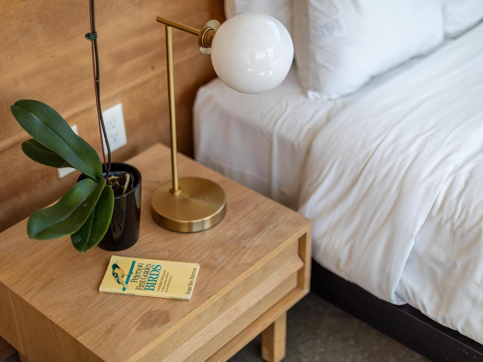 Abpopa Hillcrest Hotell San Diego Eksteriør bilde